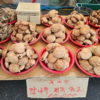곽희동님의 버섯 · 영농일지 작성글 사진