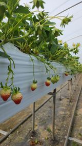 리차드권님의 작성글 사진