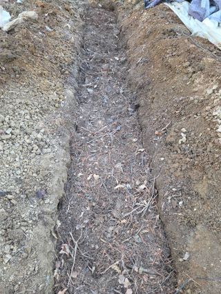 운길산님의 기타작물 · 영농일지 작성글 사진