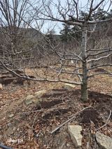 팜모닝 기타작물·영농일지 게시글 이미지