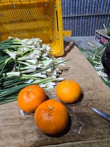 팜모닝 파·영농일지 게시글 이미지