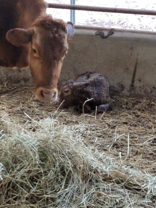 이행옥님의 기타작물 · 영농일지 작성글 사진