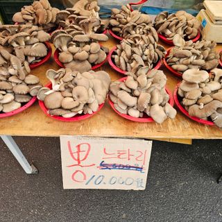 곽희동님의 버섯 · 영농일지 작성글 사진