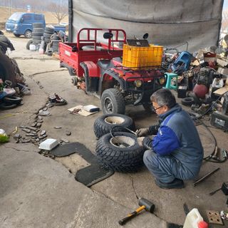 가로수님의 기타작물 · 영농일지 작성글 사진