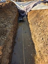 팜모닝 기타작물·영농일지 게시글 이미지