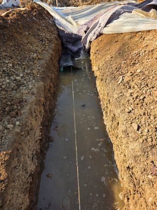 운길산님의 기타작물 · 영농일지 작성글 사진