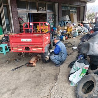 가로수님의 기타작물 · 영농일지 작성글 사진