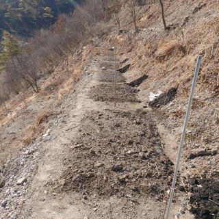 가로수님의 기타작물 · 영농일지 작성글 사진