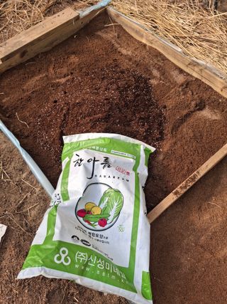 건강한먹거리님의 고추 · 영농일지 작성글 사진