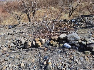 김용대님의 기타작물 · 영농일지 작성글 사진