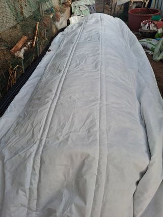 건강한먹거리님의 고추 · 영농일지 작성글 사진