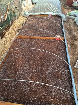 건강한먹거리님의 고추 · 영농일지 작성글 사진