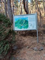 팜모닝 토마토·영농일지 게시글 이미지