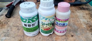 서대산향수님의 포도 · 영농일지 작성글 사진