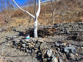 김용대님의 기타작물 · 영농일지 작성글 사진