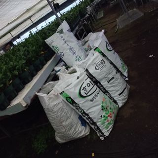 두릅나무15847님의 기타작물 · 영농일지 작성글 사진