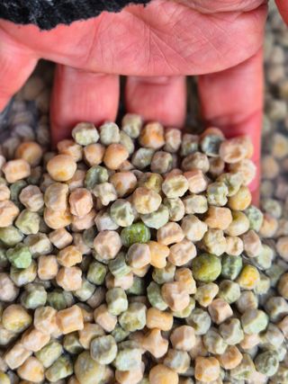 늘햇살팜 님의 기타작물 · 영농일지 작성글 사진