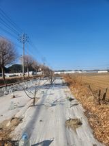 팜모닝 감·영농일지 게시글 이미지