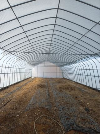 박린님의 기타작물 · 영농일지 작성글 사진