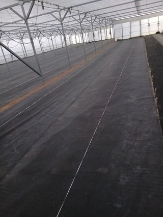 따사매님의 고추 · 영농일지 작성글 사진