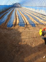 팜모닝 기타작물·영농일지 게시글 이미지