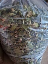 팜모닝 기타작물·영농일지 게시글 이미지