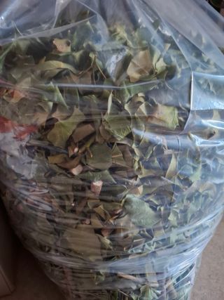 결단이님의 기타작물 · 영농일지 작성글 사진