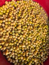 팜모닝 기타작물·영농일지 게시글 이미지