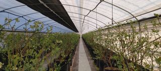 류근택님의 작성글 사진