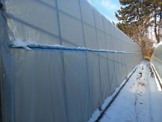 박린님의 기타작물 · 영농일지 작성글 사진