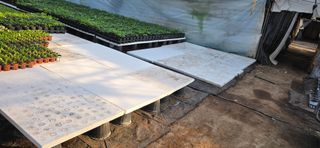 두릅나무15847님의 기타작물 · 영농일지 작성글 사진