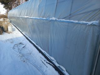 박린님의 기타작물 · 영농일지 작성글 사진