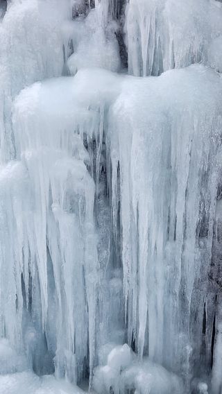 이익수님의 기타작물 · 영농일지 작성글 사진