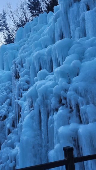 이익수님의 기타작물 · 영농일지 작성글 사진