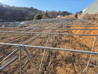 최진일님의 블루베리 · 영농일지 작성글 사진