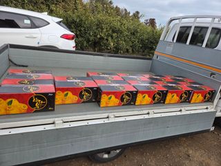 산방자연농원님의 귤 · 영농일지 작성글 사진