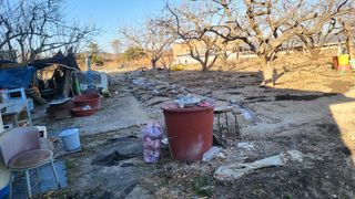 괴동조합장님의 양파 · 영농일지 작성글 사진