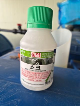 안병찬님의 딸기 · 영농일지 작성글 사진