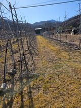 봉좌산님의 작성글 사진