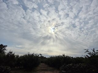 산방자연농원님의 작성글 사진