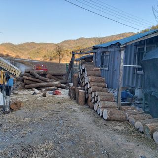 가로수님의 복숭아 · 영농일지 작성글 사진