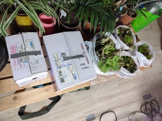 조영기님의 기타작물 · 영농일지 작성글 사진