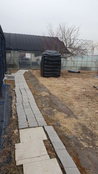 송완춘님의 기타작물 · 영농일지 작성글 사진