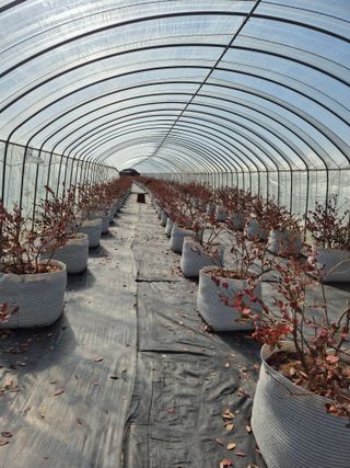 박영희님의 작성글 사진