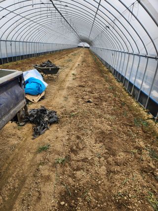 김저팔계님의 파 · 영농일지 작성글 사진