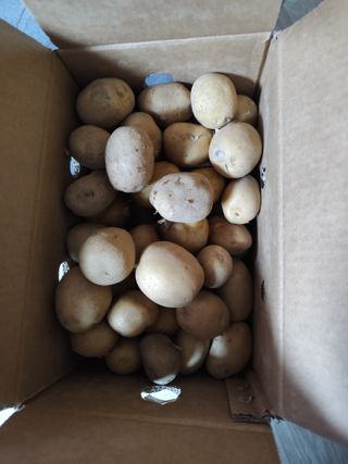 조영기님의 기타작물 · 영농일지 작성글 사진