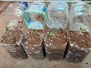 김홍중님의 기타작물 · 영농일지 작성글 사진