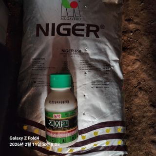 김성훈님의 기타작물 · 영농일지 작성글 사진