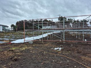 송창언님의 기타작물 · 영농일지 작성글 사진