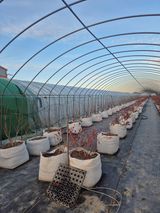 박영희님의 작성글 사진